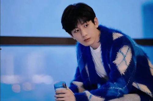 成毅 最新 大爆料,演艺圈背后的惊人真相